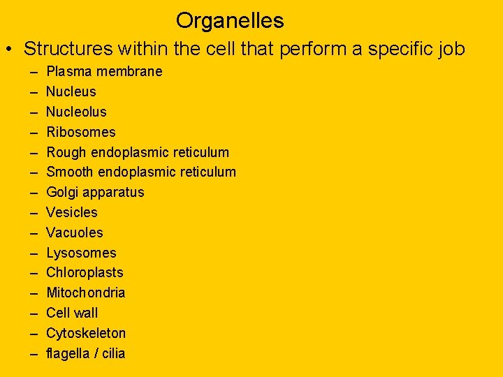Organelles • Structures within the cell that perform a specific job – – –
