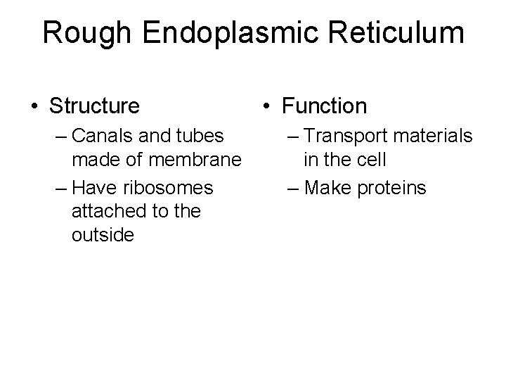 Rough Endoplasmic Reticulum • Structure – Canals and tubes made of membrane – Have