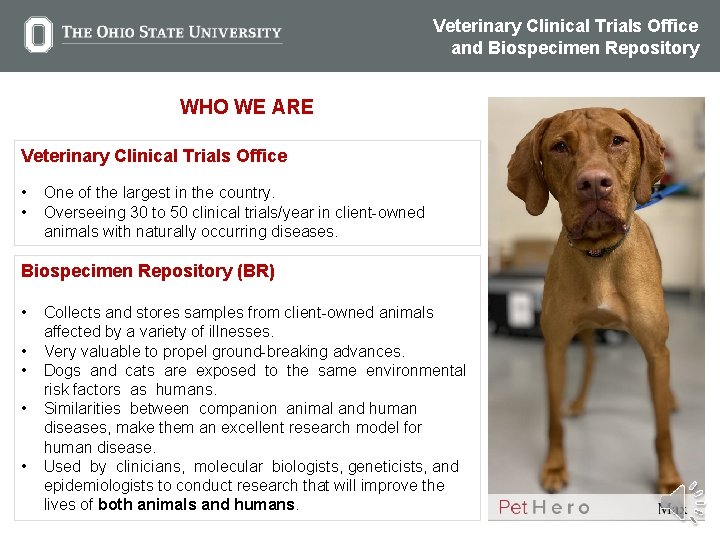 Veterinary Clinical Trials Office and Biospecimen Repository WHO WE ARE Veterinary Clinical Trials Office