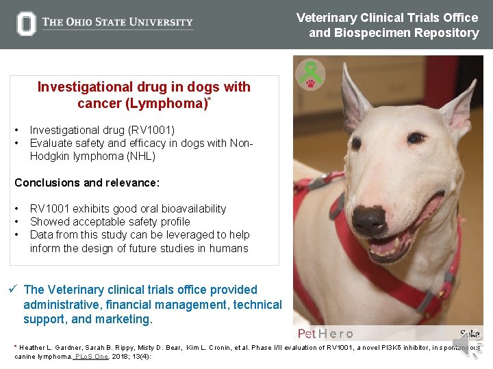 Veterinary Clinical Trials Office and Biospecimen Repository Investigational drug in dogs with cancer (Lymphoma)*