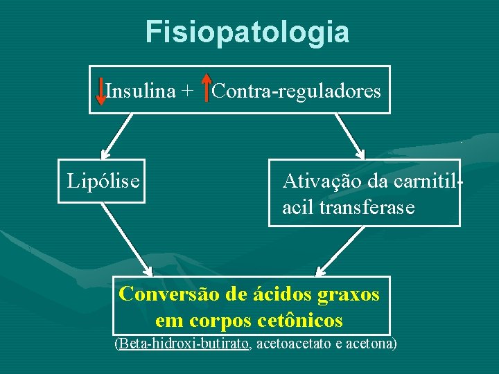 Fisiopatologia Insulina + Contra-reguladores Lipólise Ativação da carnitilacil transferase Conversão de ácidos graxos em