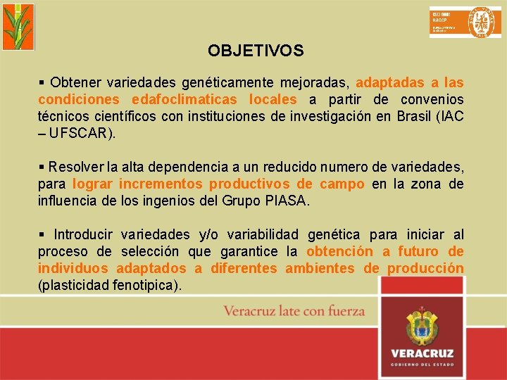 OBJETIVOS § Obtener variedades genéticamente mejoradas, adaptadas a las condiciones edafoclimaticas locales a partir