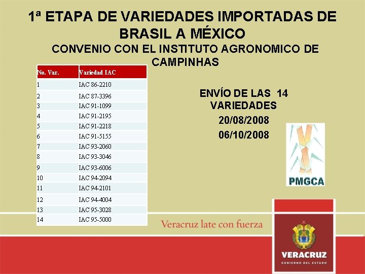 1ª ETAPA DE VARIEDADES IMPORTADAS DE BRASIL A MÉXICO CONVENIO CON EL INSTITUTO AGRONOMICO