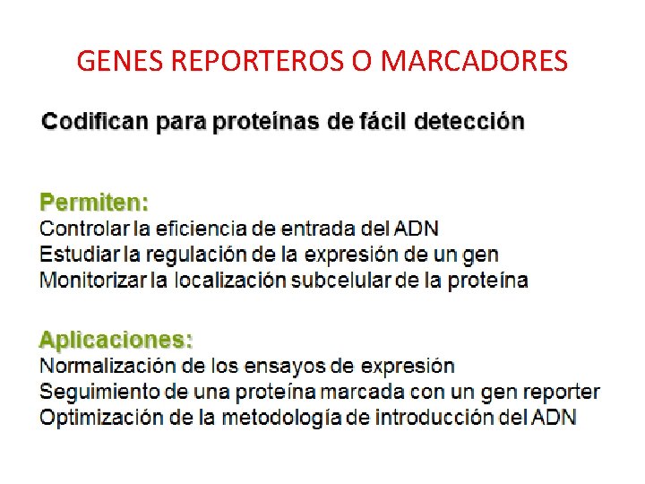 GENES REPORTEROS O MARCADORES 