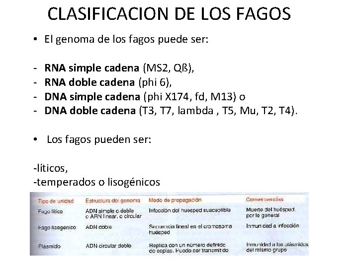 CLASIFICACION DE LOS FAGOS • El genoma de los fagos puede ser: - RNA