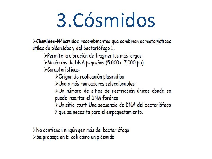 3. Cósmidos 