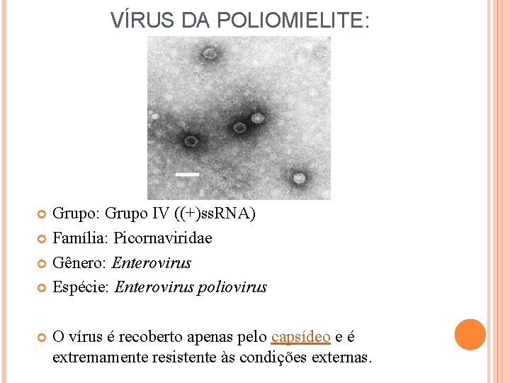 VÍRUS DA POLIOMIELITE: Grupo: Grupo IV ((+)ss. RNA) Família: Picornaviridae Gênero: Enterovirus Espécie: Enterovirus