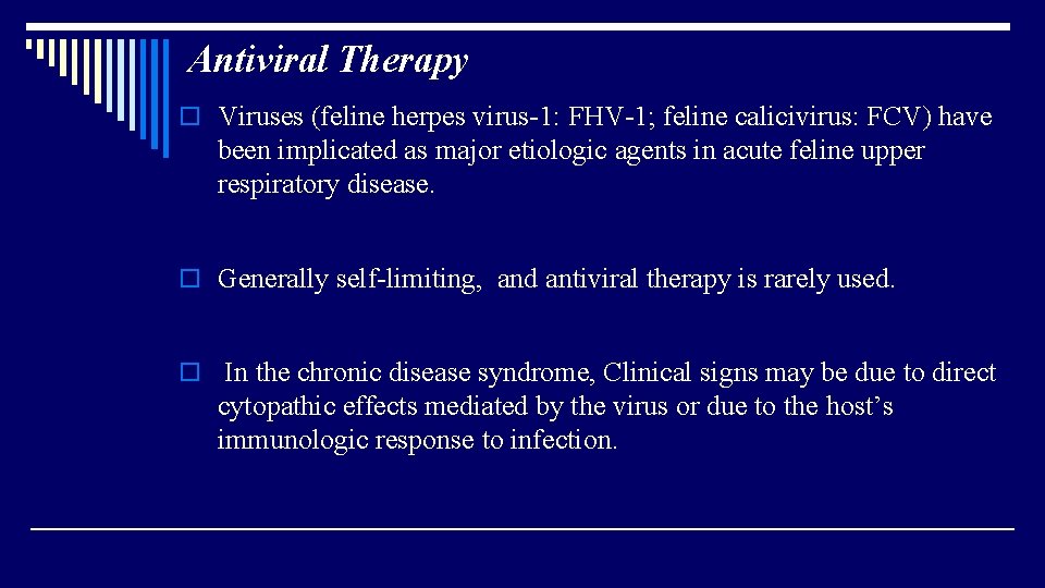 Antiviral Therapy o Viruses (feline herpes virus-1: FHV-1; feline calicivirus: FCV) have been implicated