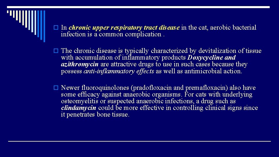 o In chronic upper respiratory tract disease in the cat, aerobic bacterial infection is