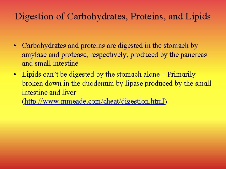Digestion of Carbohydrates, Proteins, and Lipids • Carbohydrates and proteins are digested in the