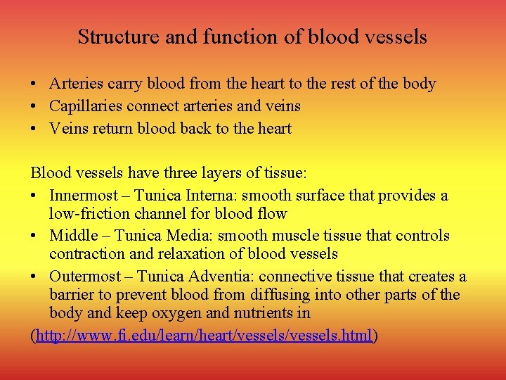 Structure and function of blood vessels • Arteries carry blood from the heart to
