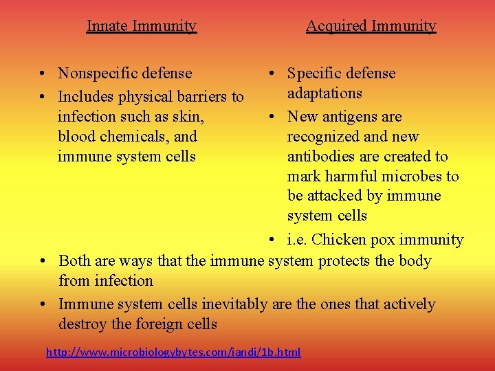 Innate Immunity • Nonspecific defense • Includes physical barriers to infection such as skin,