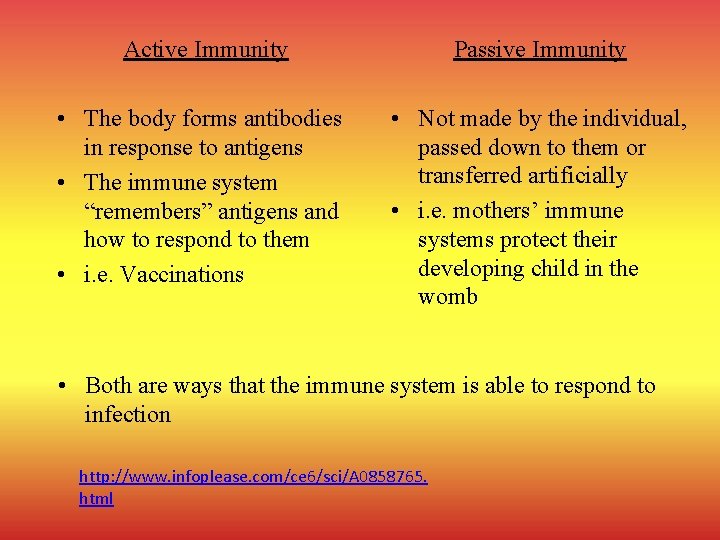 Active Immunity Passive Immunity • The body forms antibodies in response to antigens •