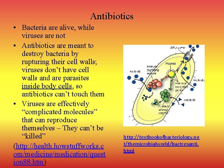 Antibiotics • Bacteria are alive, while viruses are not • Antibiotics are meant to