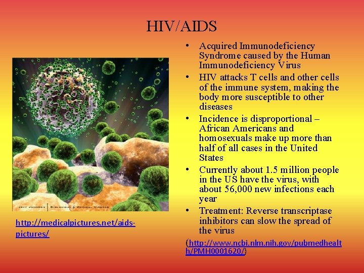 HIV/AIDS http: //medicalpictures. net/aidspictures/ • Acquired Immunodeficiency Syndrome caused by the Human Immunodeficiency Virus