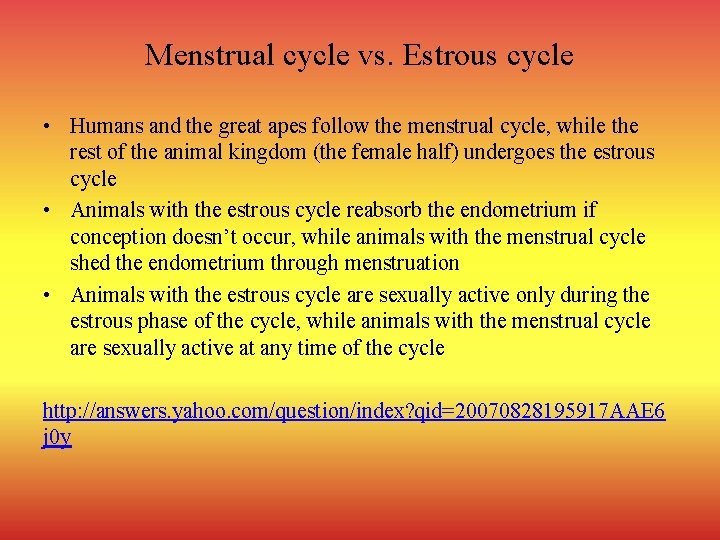Menstrual cycle vs. Estrous cycle • Humans and the great apes follow the menstrual