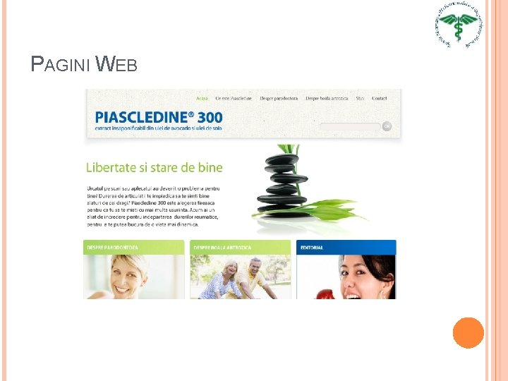 PAGINI WEB 