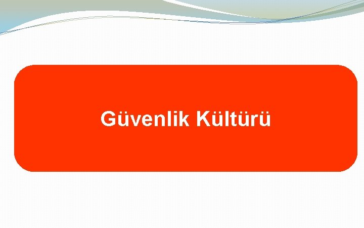 Güvenlik Kültürü 