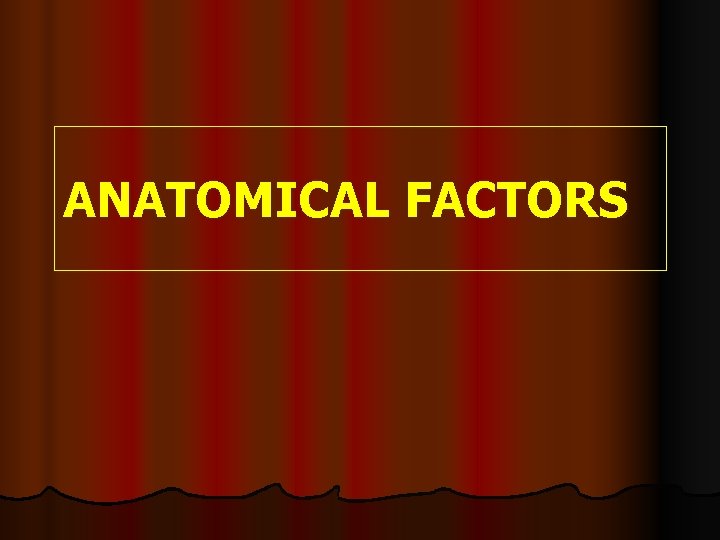 ANATOMICAL FACTORS ANATOMICAL FACTORS