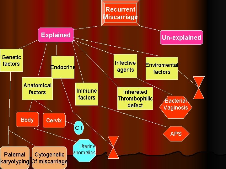 Recurrent Miscarriage Explained Genetic factors Un-explained Infective agents Endocrine Anatomical factors Body Immune factors Recurrent Miscarriage Explained Genetic factors Un-explained Infective agents Endocrine Anatomical factors Body Immune factors