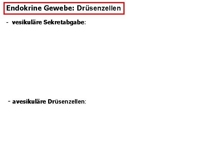 Endokrine Gewebe: Drüsenzellen - vesikuläre Sekretabgabe: - avesikuläre Drüsenzellen: 