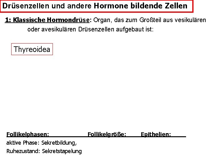 Drüsenzellen und andere Hormone bildende Zellen 1: Klassische Hormondrüse: Organ, das zum Großteil aus