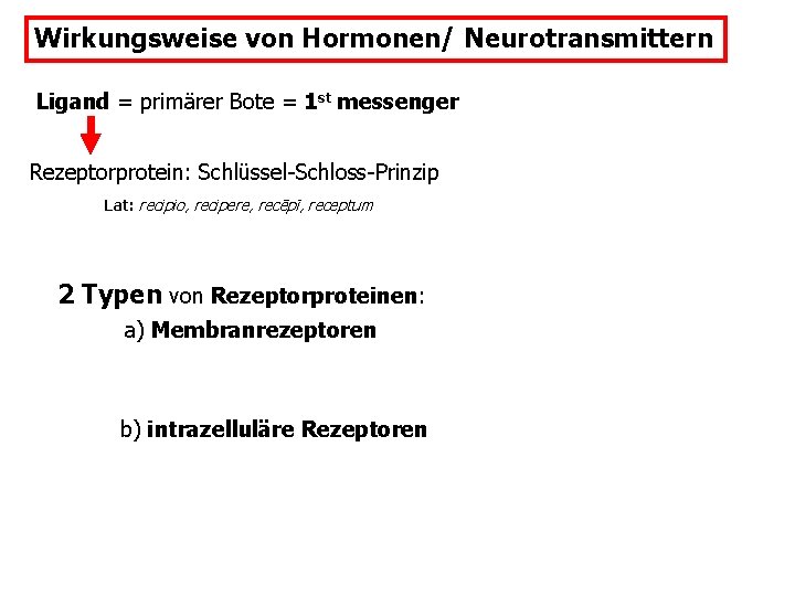 Wirkungsweise von Hormonen/ Neurotransmittern Ligand = primärer Bote = 1 st messenger Rezeptorprotein: Schlüssel-Schloss-Prinzip