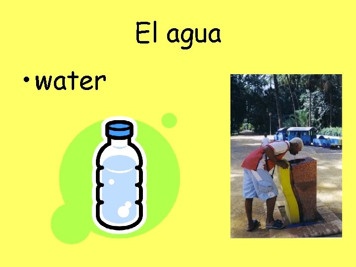 El agua • water 