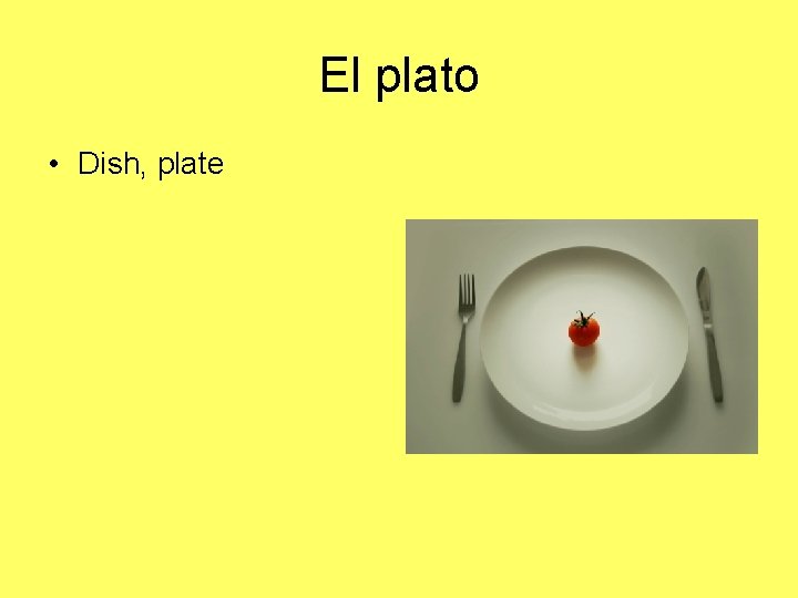 El plato • Dish, plate 