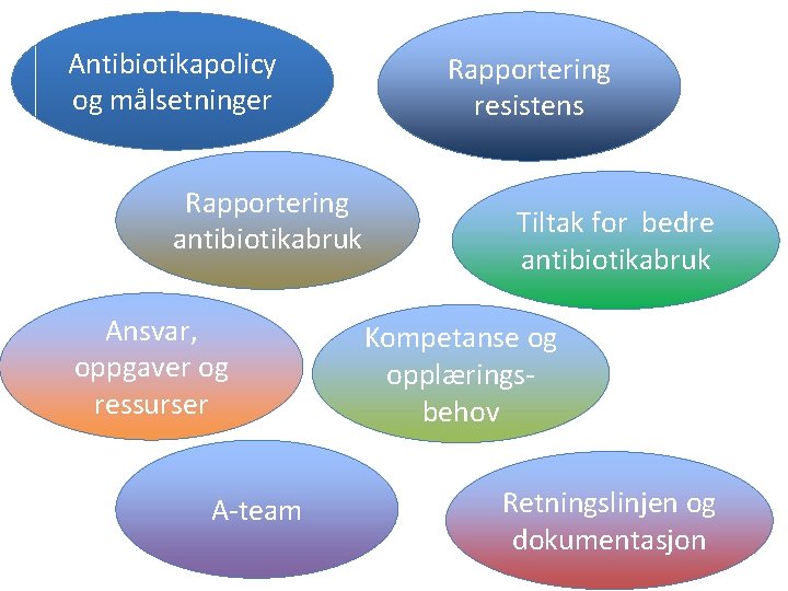 Antibiotikapolicy og målsetninger Rapportering antibiotikabruk Ansvar, oppgaver og ressurser A-team Rapportering resistens Tiltak for