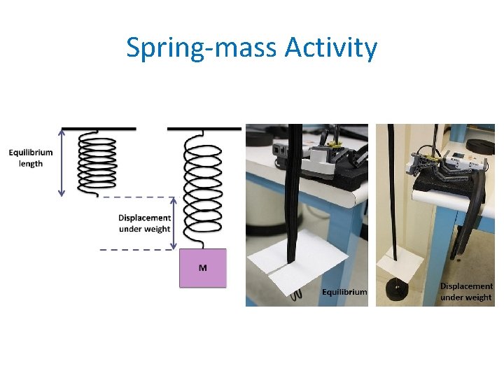 Spring-mass Activity 