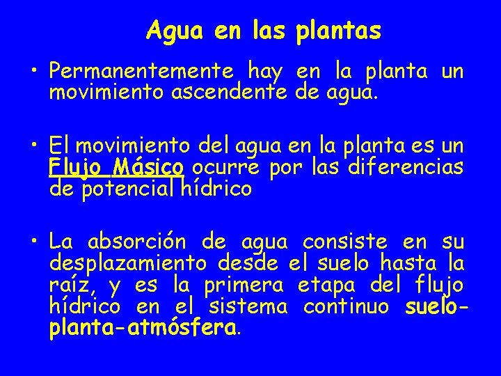 Agua en las plantas • Permanentemente hay en la planta un movimiento ascendente de