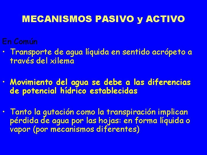 MECANISMOS PASIVO y ACTIVO En Común • Transporte de agua líquida en sentido acrópeto
