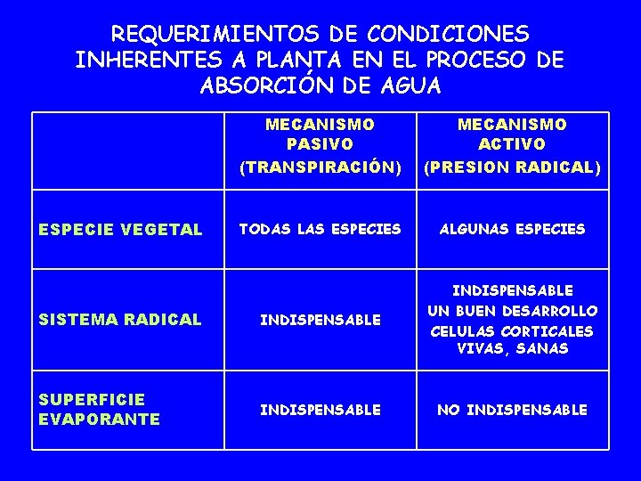 REQUERIMIENTOS DE CONDICIONES INHERENTES A PLANTA EN EL PROCESO DE ABSORCIÓN DE AGUA MECANISMO