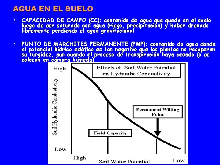 AGUA EN EL SUELO • CAPACIDAD DE CAMPO (CC): contenido de agua queda en