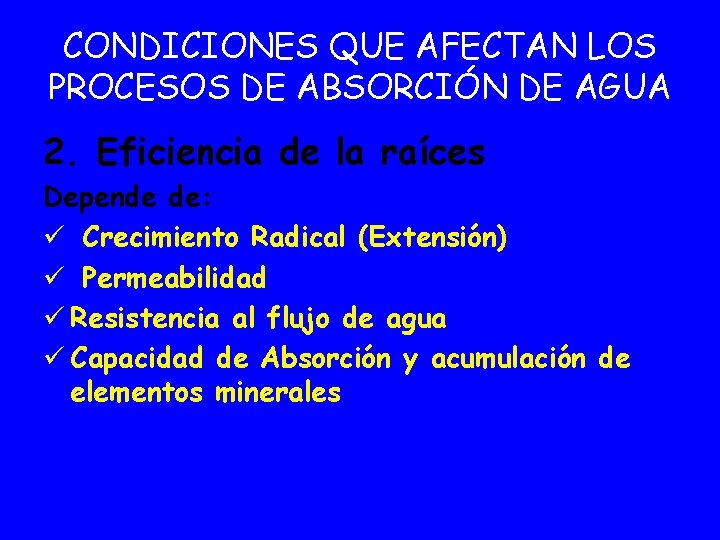 CONDICIONES QUE AFECTAN LOS PROCESOS DE ABSORCIÓN DE AGUA 2. Eficiencia de la raíces