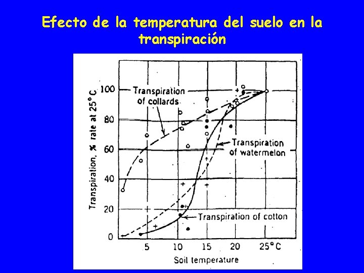Efecto de la temperatura del suelo en la transpiración 