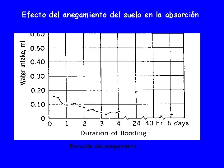Efecto del anegamiento del suelo en la absorción Duración del anegamiento 