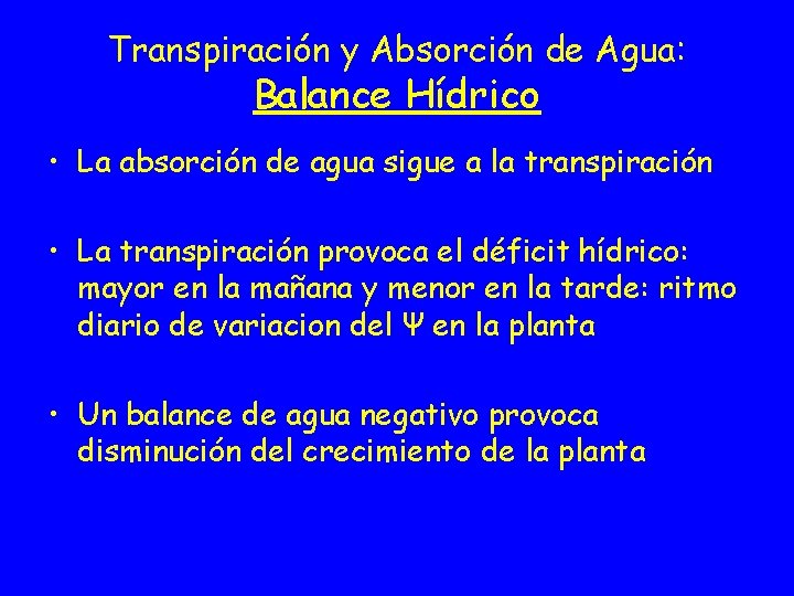 Transpiración y Absorción de Agua: Balance Hídrico • La absorción de agua sigue a