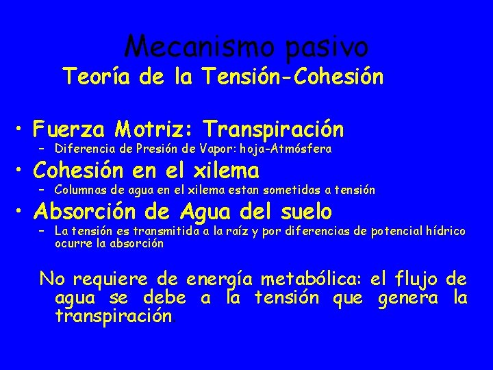 Mecanismo pasivo Teoría de la Tensión-Cohesión • Fuerza Motriz: Transpiración – Diferencia de Presión