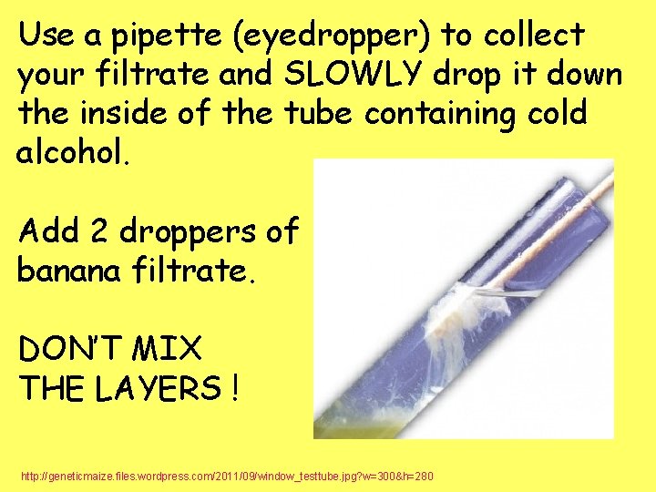 Use a pipette (eyedropper) to collect your filtrate and SLOWLY drop it down the