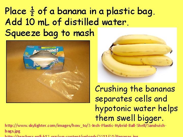 Place ½ of a banana in a plastic bag. Add 10 m. L of