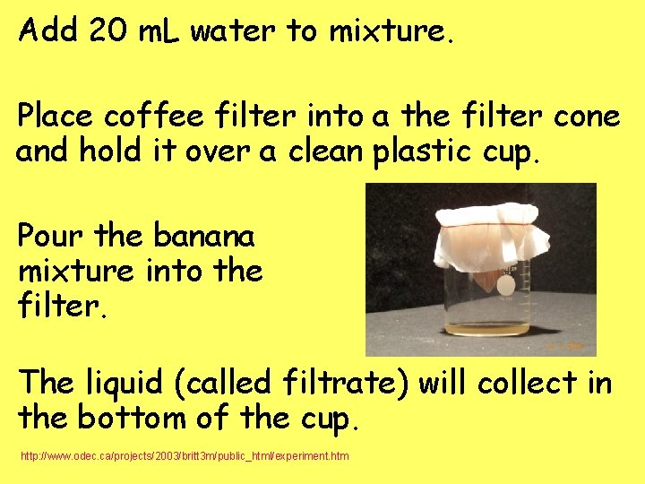 Add 20 m. L water to mixture. Place coffee filter into a the filter