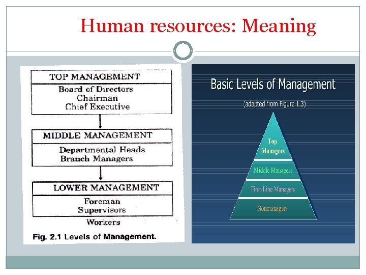 Human resources: Meaning 