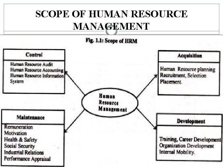 SCOPE OF HUMAN RESOURCE MANAGEMENT 