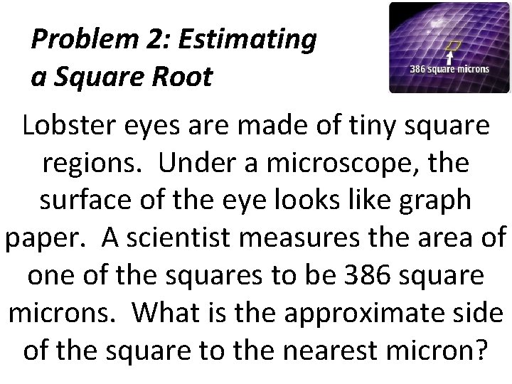 Problem 2: Estimating a Square Root Lobster eyes are made of tiny square regions.