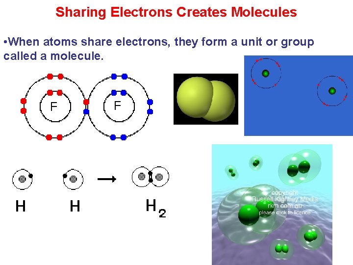 Sharing Electrons Creates Molecules • When atoms share electrons, they form a unit or