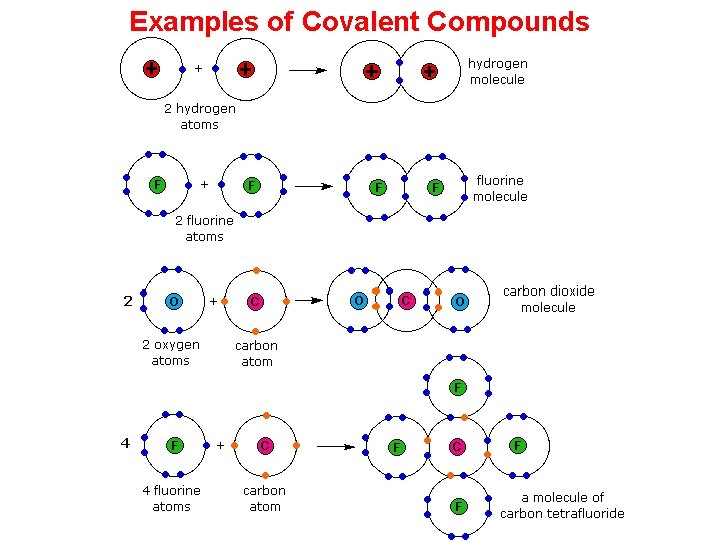 Examples of Covalent Compounds 
