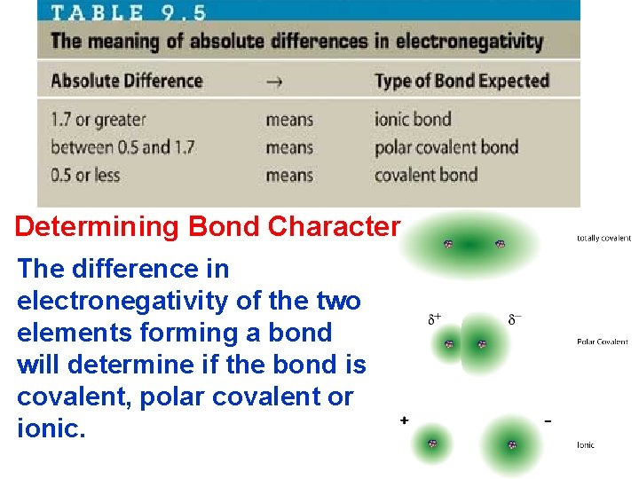 Determining Bond Character The difference in electronegativity of the two elements forming a bond