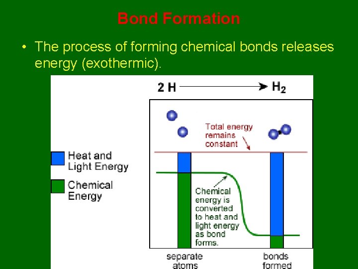 Bond Formation • The process of forming chemical bonds releases energy (exothermic). 